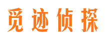 盐山市私家侦探